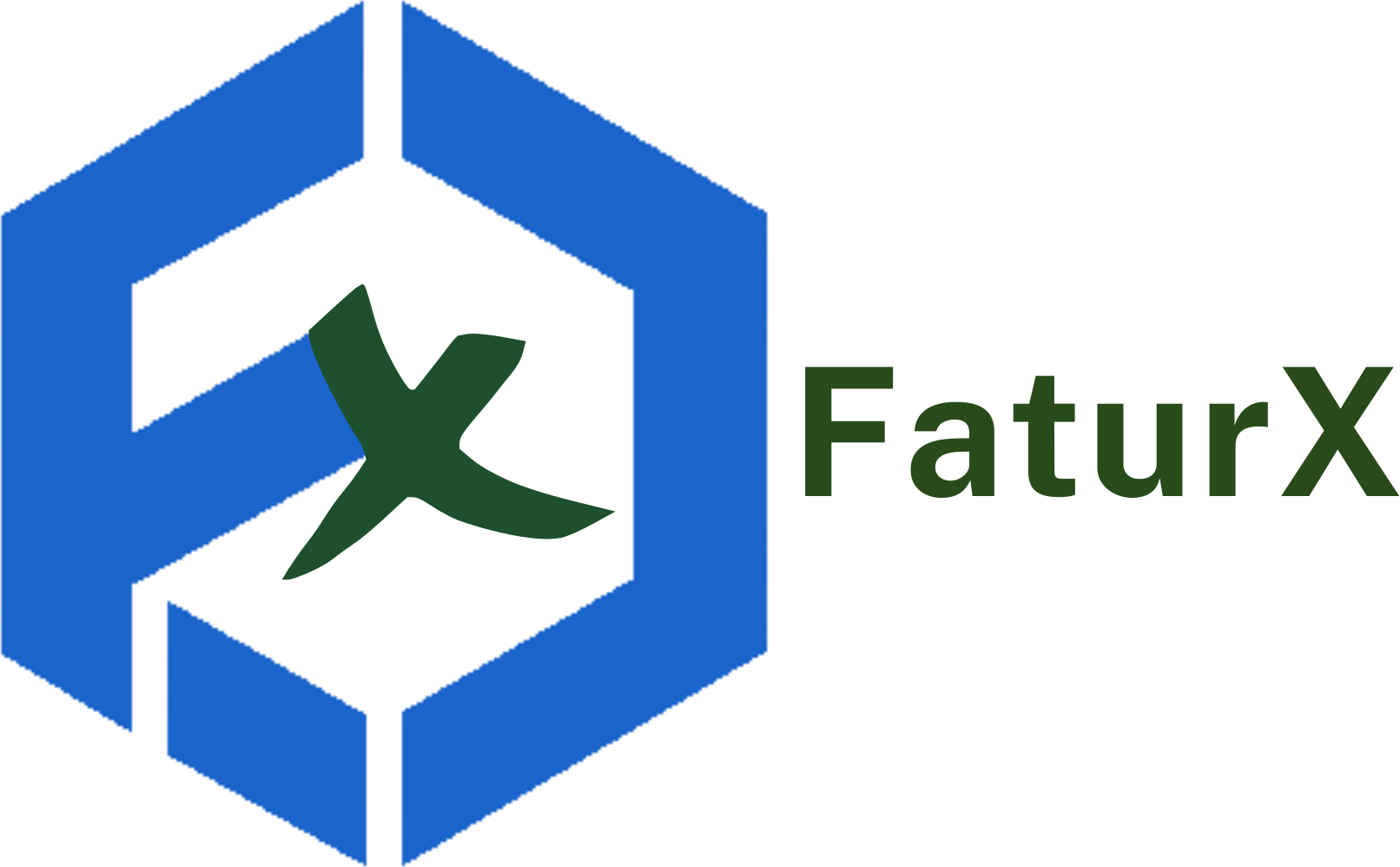 FaturX